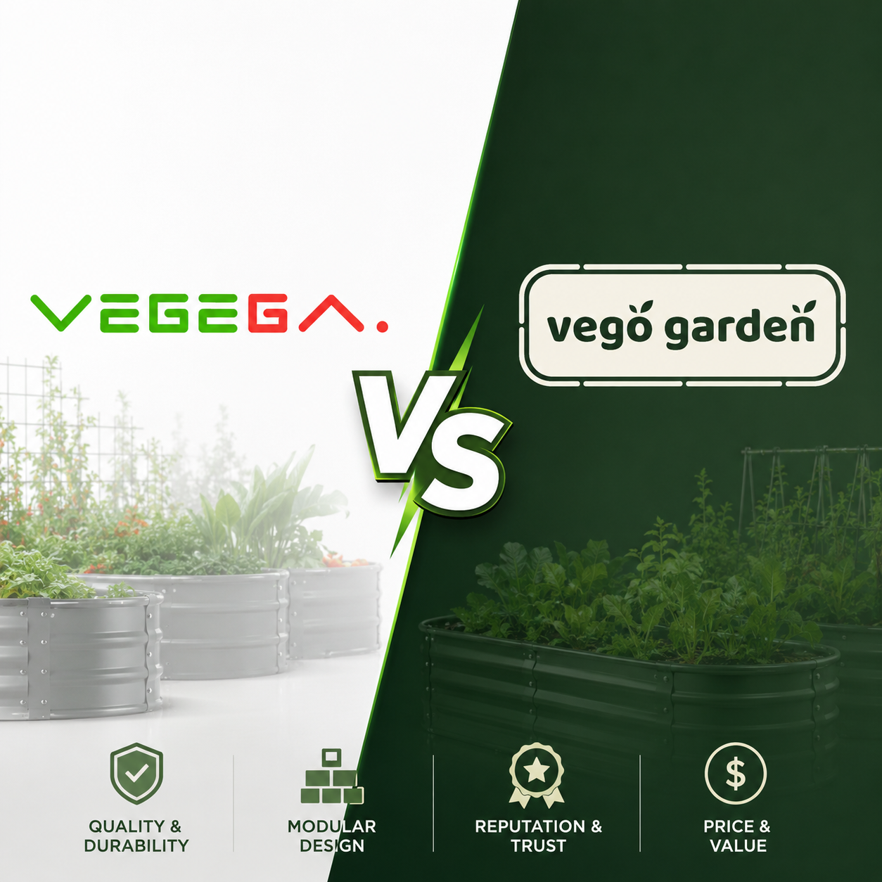 vegega-vs-vego